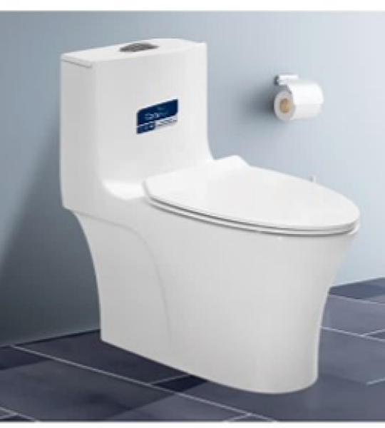 Bàn cầu CaryRoyal CA07