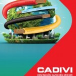 Truy Cập Website CADIVI