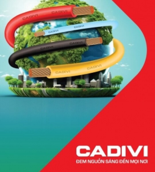 Truy Cập Website CADIVI