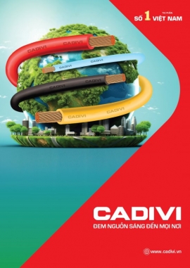 Truy Cập Website CADIVI