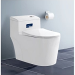 Bàn cầu CaryRoyal CA - C06