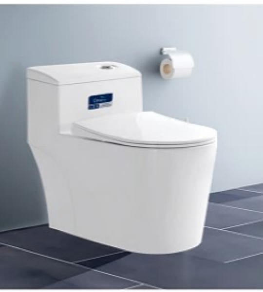 Bàn cầu CaryRoyal CA - C06