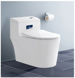 Bàn cầu CaryRoyal CA - C06