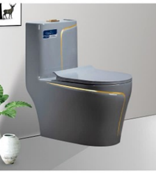 Bàn cầu CaryRoyal CA-C121