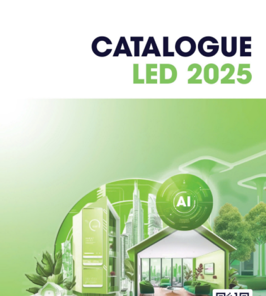 TRUY CẬP RẠNG ĐÔNG