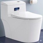 Bàn cầu CaryRoyal CA06