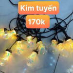 Bộ dây đui đèn 5m 10 bóng Kim Tuyến 1