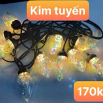 Bộ dây đui đèn 5m 10 bóng Kim Tuyến 2