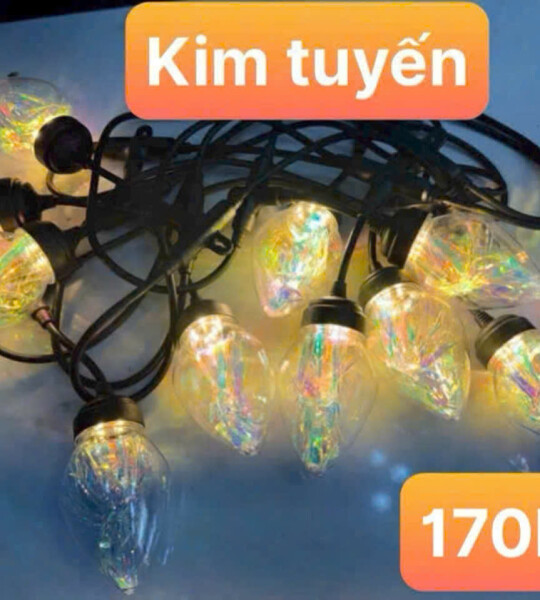 Bộ dây đui đèn 5m 10 bóng Kim Tuyến 2