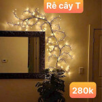 Rể Cây Led Trang Trí